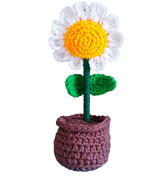 Handmade Crochet Daisy Flower Pot